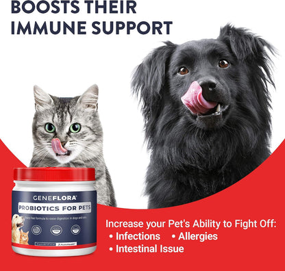 Geneflora Digestive Enzymes, Prebiotics & Pet Probiotics for Dogs – Powder, 125g (2 Pack)