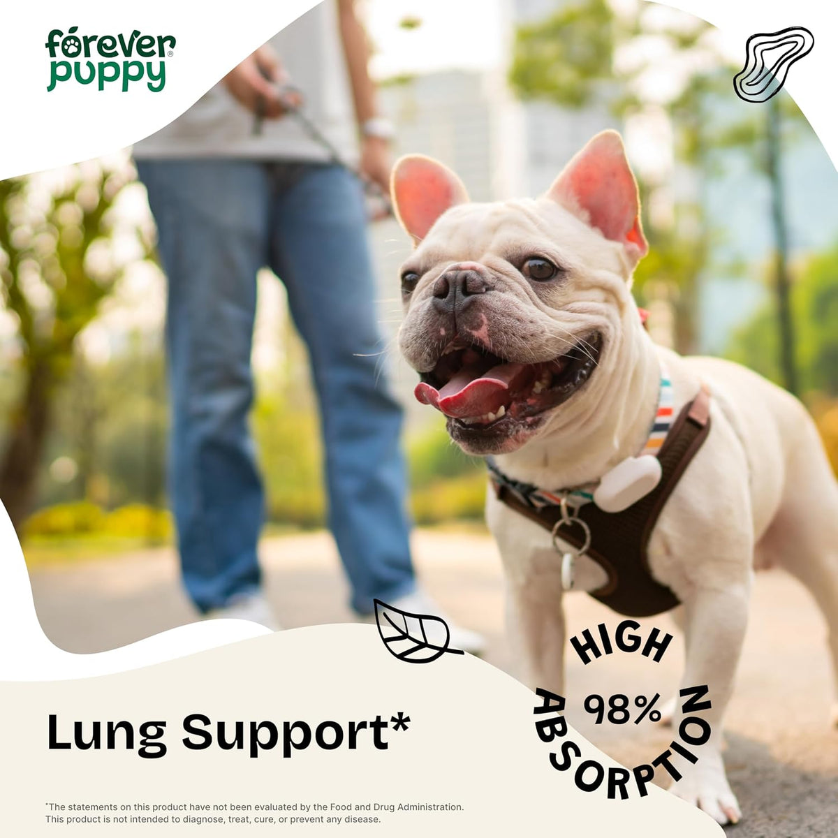 Forever Puppy Lung Support Drops for Dogs - Mullein Leaf Extract & Echinacea - Herbal Lung Drops - Sugar & Alcohol-Free - 60 ml - görsel 2