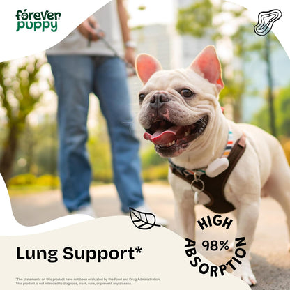 Forever Puppy Lung Support Drops for Dogs - Mullein Leaf Extract & Echinacea - Herbal Lung Drops - Sugar & Alcohol-Free - 60 ml