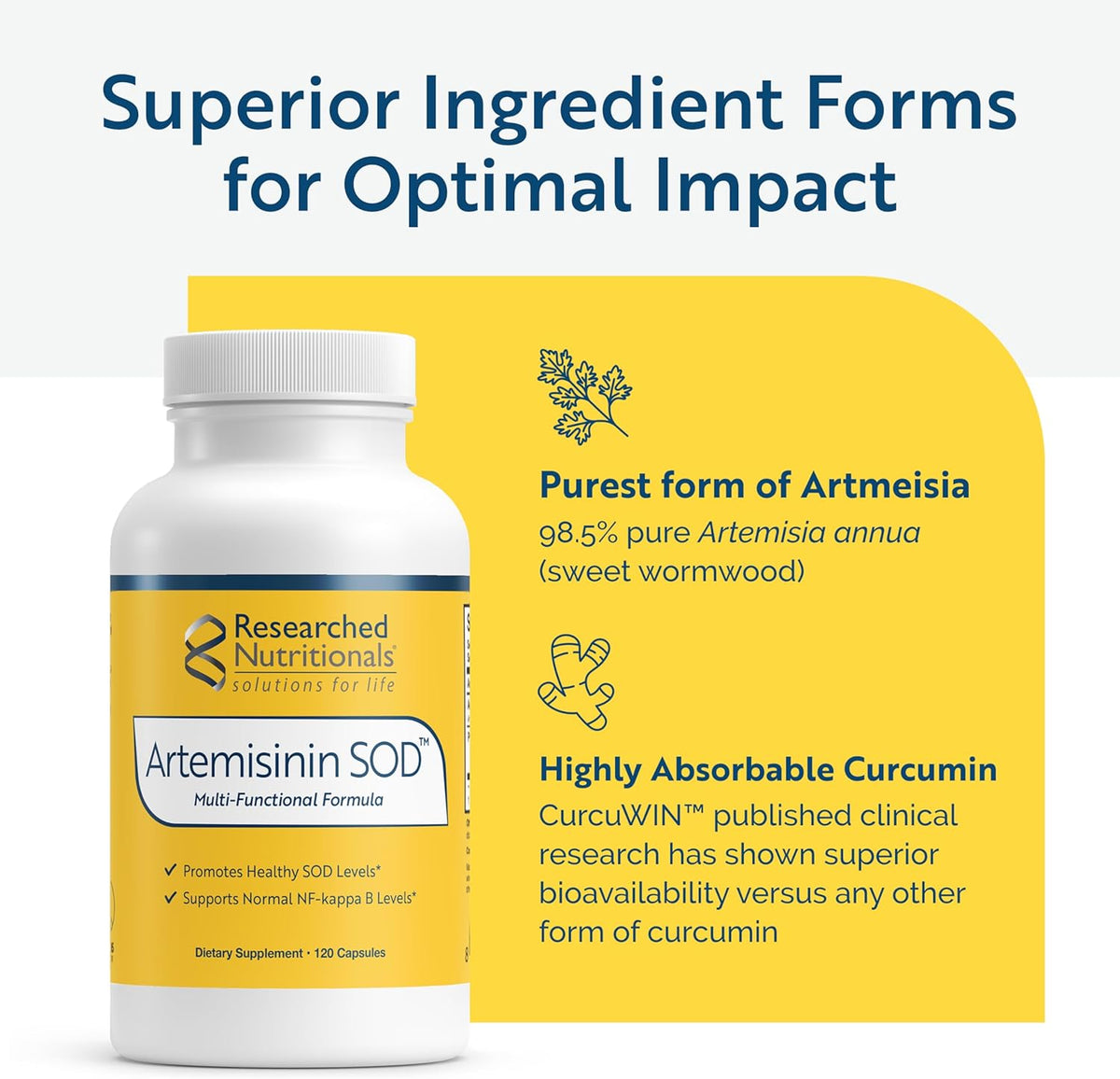 Artemisinin SOD - Immune Support Supplement with Artemisinin, Green Tea Extract, Quercetin & Turmeric Curcumin (120 Capsules) - görsel 4