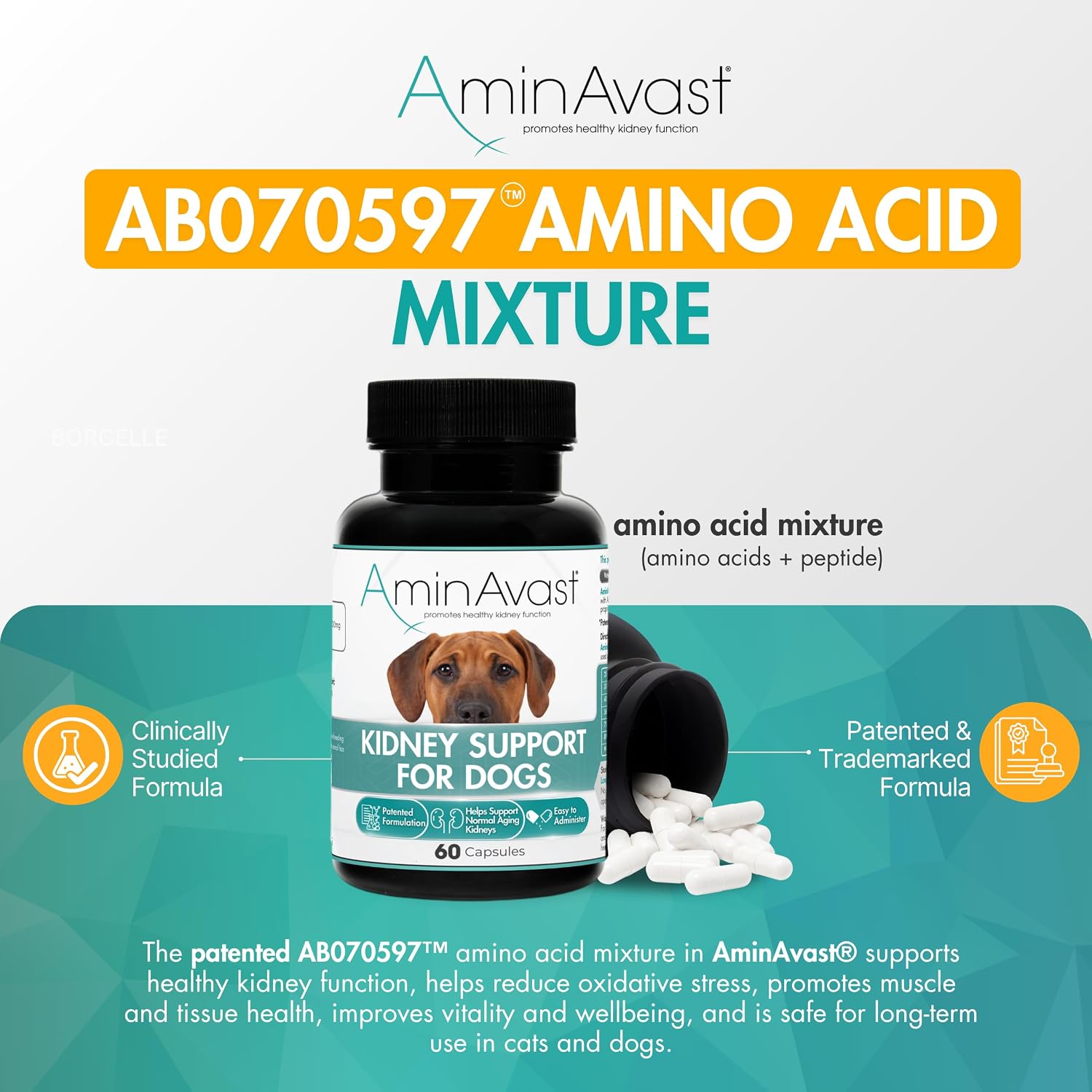AminAvast Dog Kidney Supplement - Supports Natural Kidney Function - Promotes Health & Vitality of Ageing Kidneys - Pet-Friendly, 1000mg, 60 Capsules - görsel 3