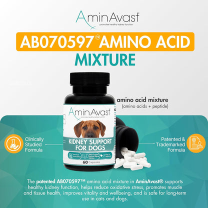 AminAvast Dog Kidney Supplement - Supports Natural Kidney Function - Promotes Health & Vitality of Ageing Kidneys - Pet-Friendly, 1000mg, 60 Capsules