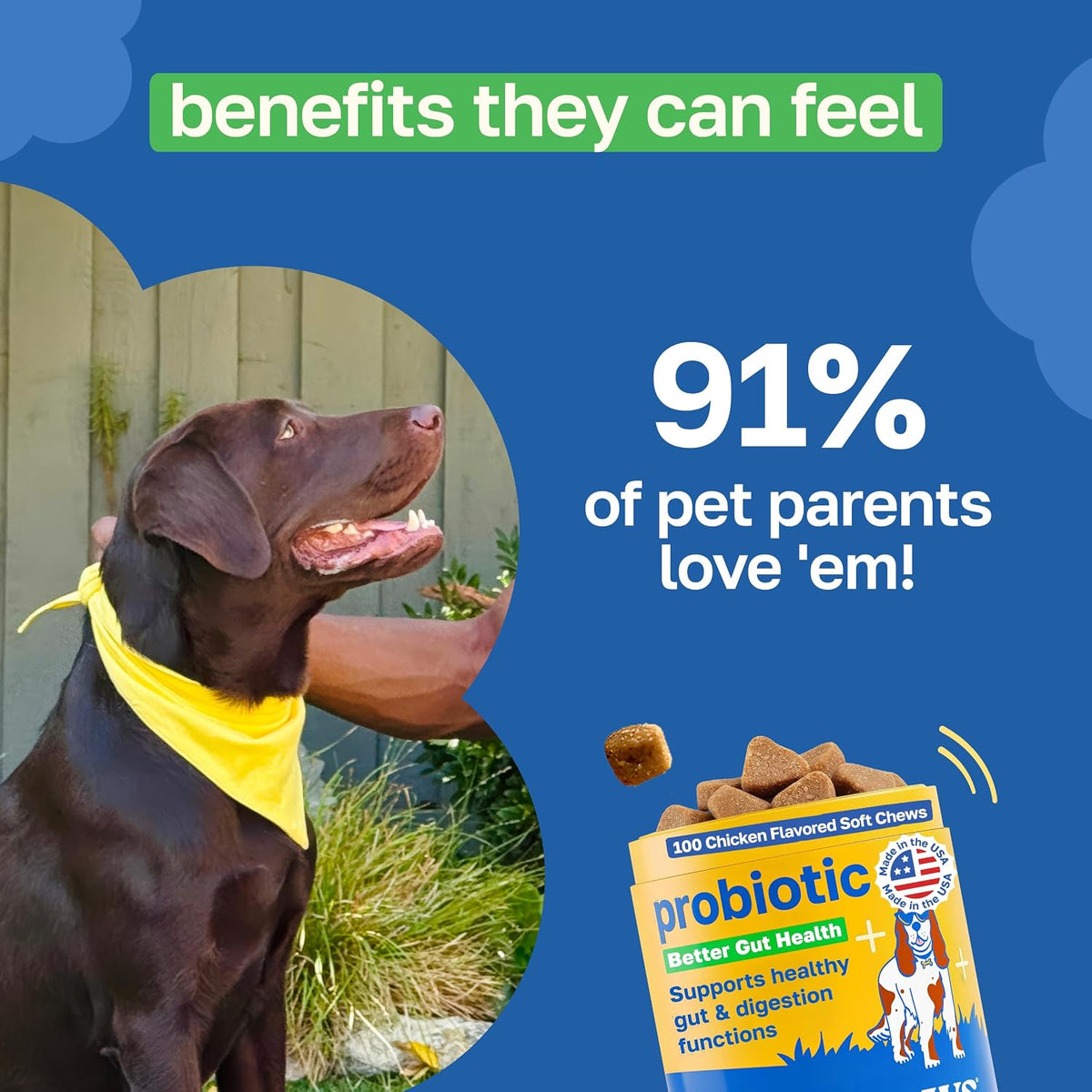 Happy Paws Probiotics for Dogs, Gut Health, Skin, Coat & Immune Support Supplement for All Breeds & Ages, Made with Coconut Oil & Vitamin E, Vegan Chicken Flavour, Organic, Non-GMO, 100 Soft Chews - görsel 4