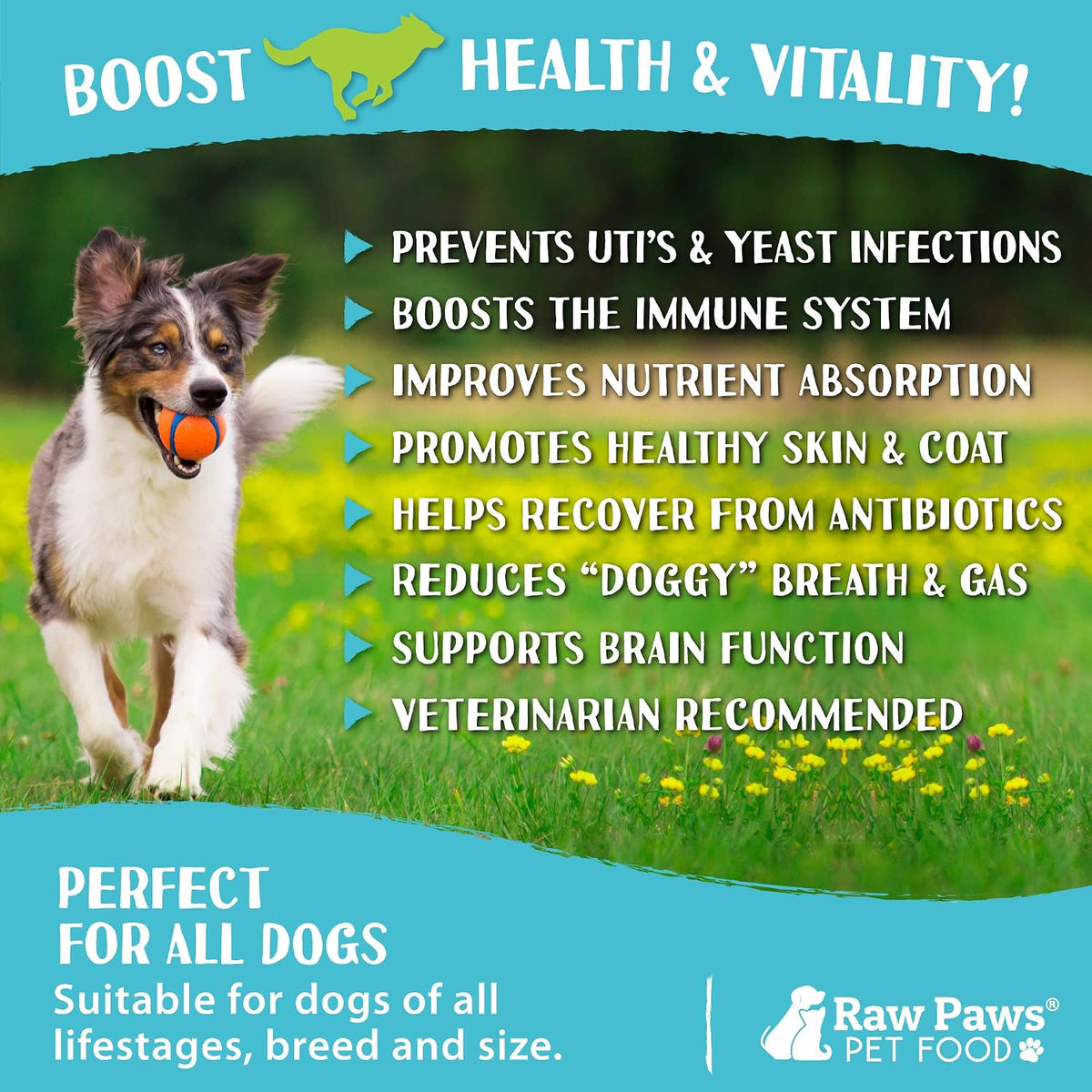 Raw Paws Natural Dog Probiotic Supplement with Prebiotics - 100 Soft Chews (283 g) - görsel 4