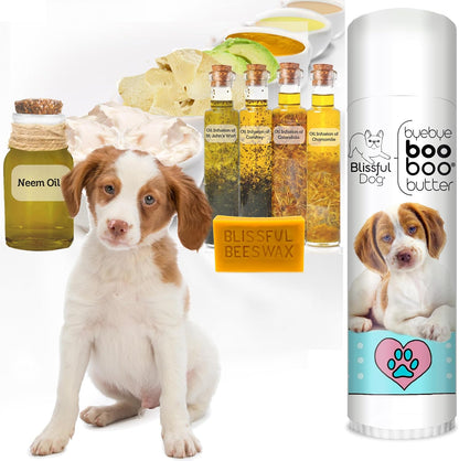 The Blissful Dog 14g Tube Brittany Booboo Butter
