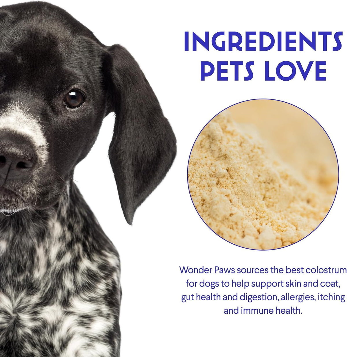 Premium Grass Fed Colostrum for Dogs – Pure Bovine Colostrum – Immune, Allergy, and Skin Support – All Breeds – 90g - görsel 4