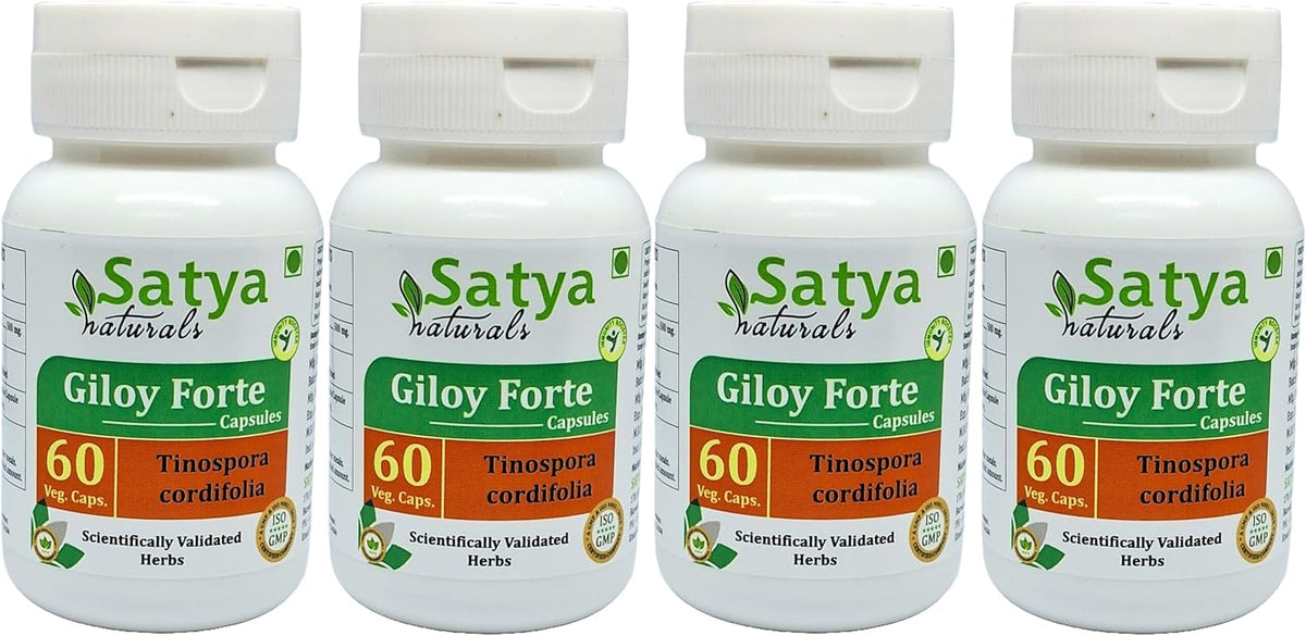 Satya Naturals Giloy Forte Capsules 500 mg - 120 Vegetable Capsules (2-Pack) - Guduchi (Tinospora Cordifolia) Extract - Ayurvedic Supplement - görsel 8