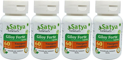 Satya Naturals Giloy Forte Capsules 500 mg - 120 Vegetable Capsules (2-Pack) - Guduchi (Tinospora Cordifolia) Extract - Ayurvedic Supplement