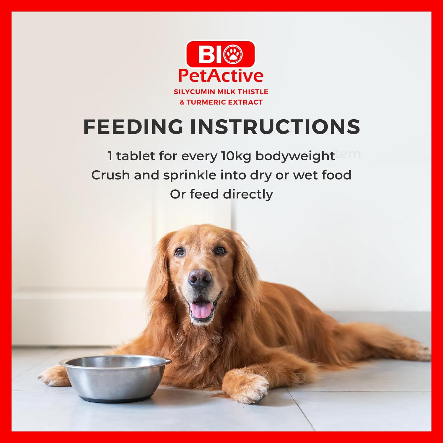 Bio PetActive Silycumin Milk Thistle & Turmeric Supplement for Dogs - Advanced Liver & Kidney Support with 80% Silymarin and Curcumin - Detoxification & Antioxidant Formula - 45 Chewable Tablets - görsel 6