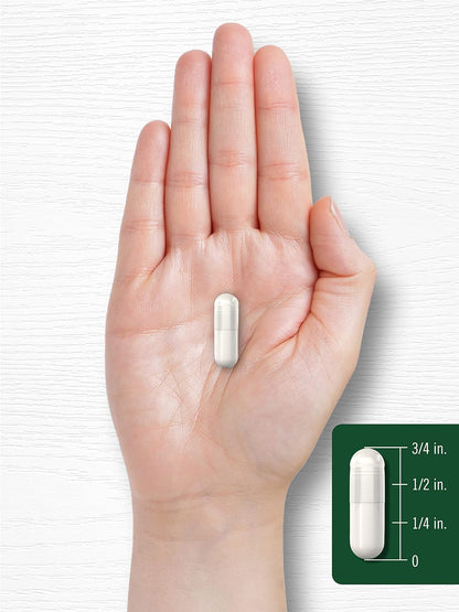 Carlyle Celery Seed Extract Capsules | 240 Count | Traditional Herbal Supplement | Non-GMO and Gluten-free Formula