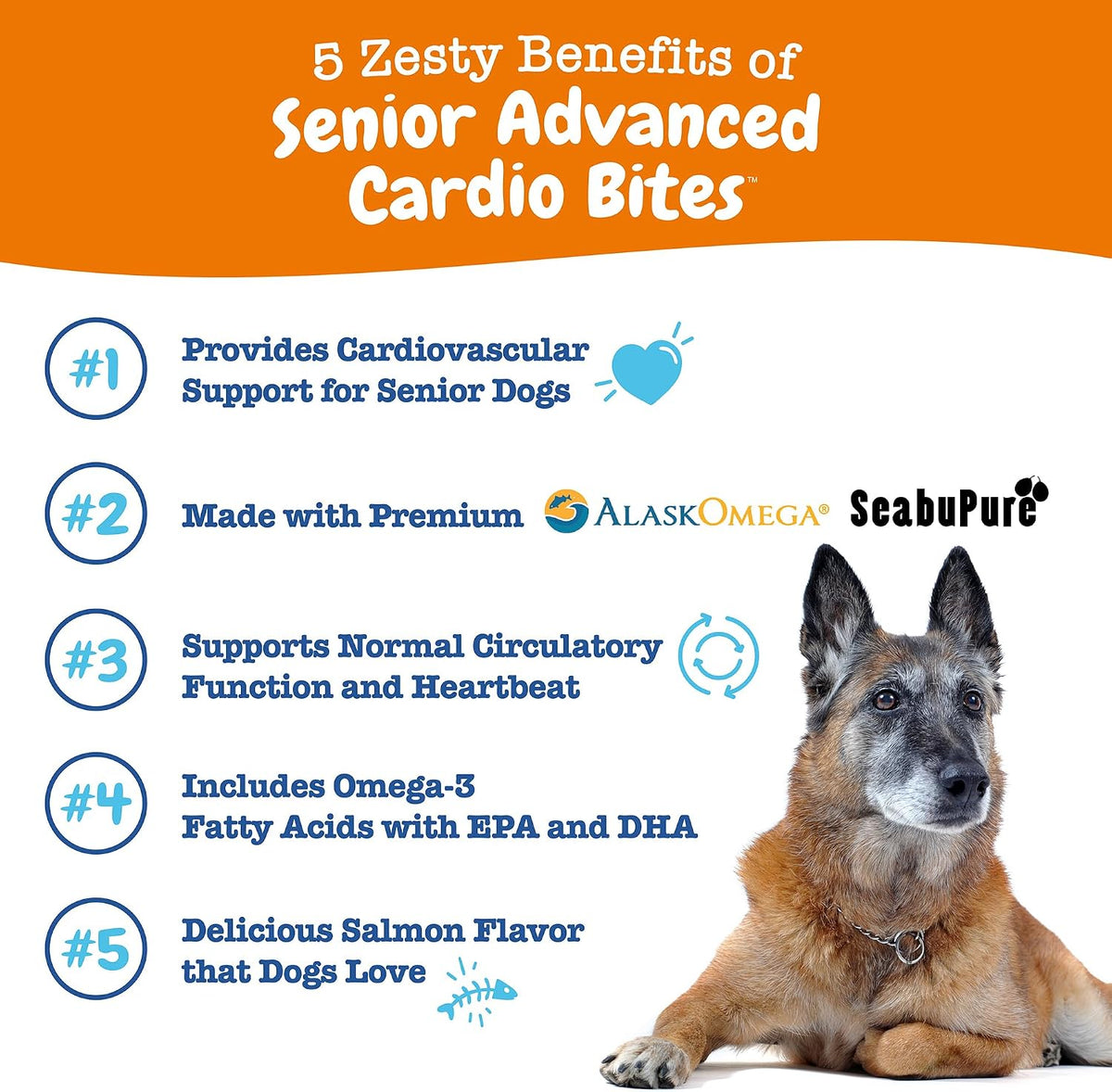 Zesty Paws Cardiovascular Support for Senior Dogs - Taurine & CoQ10 Heart Health Chews - 90 Count - görsel 2