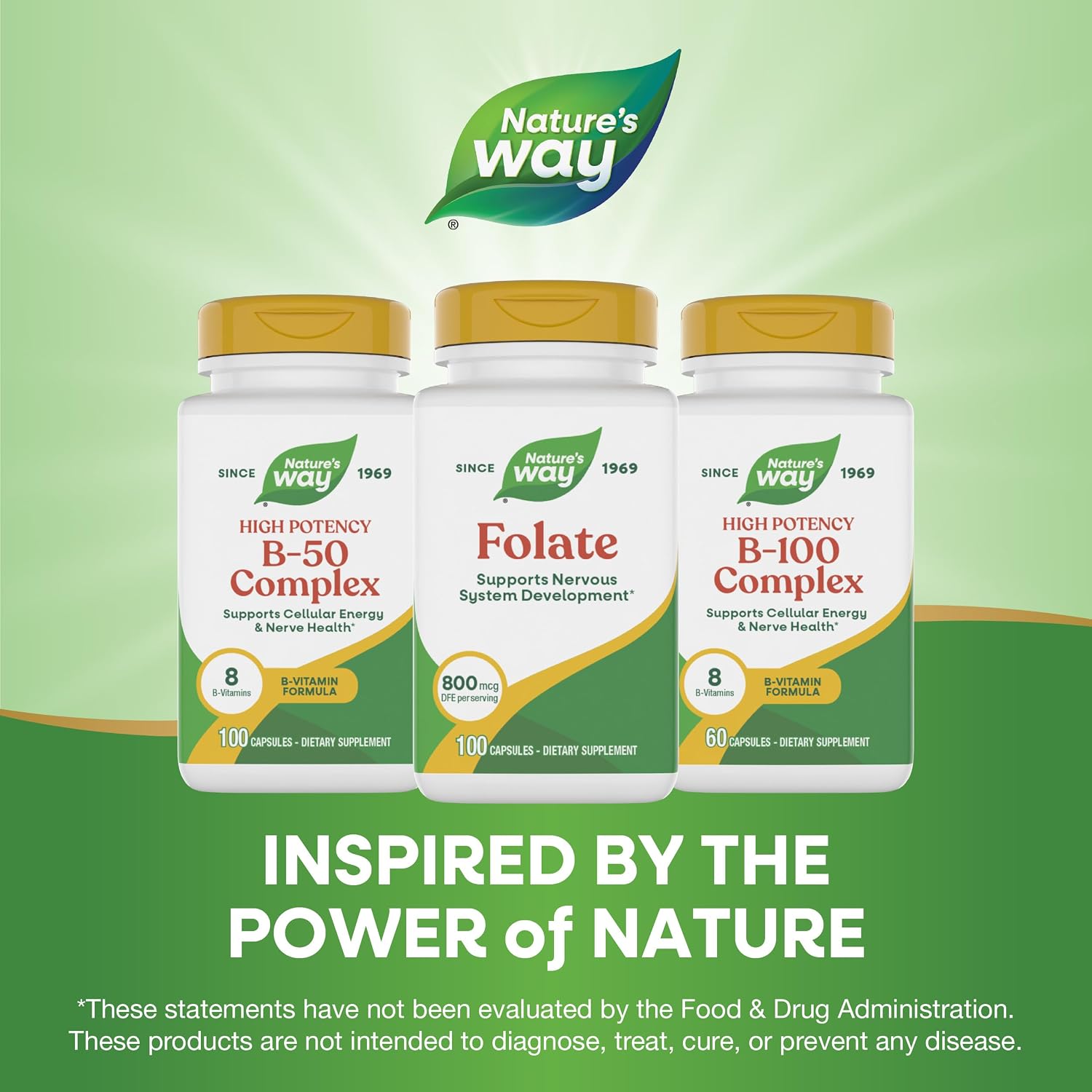 Nature's Way Folic Acid, 800 mcg DFE per serving, 100 Capsules - görsel 8