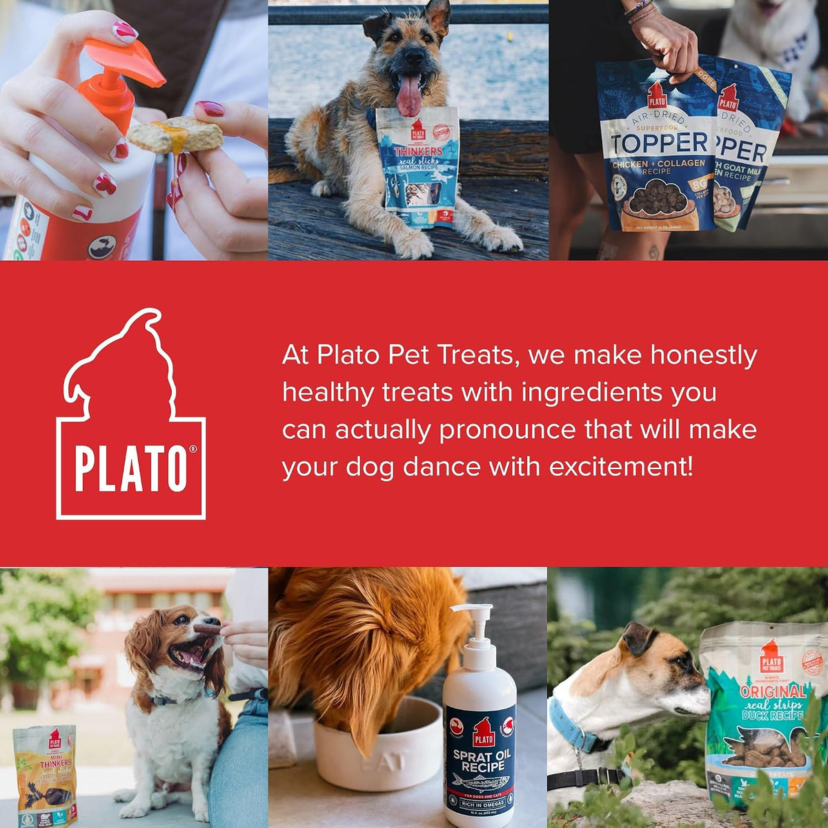 PLATO Wild Alaskan Salmon Oil Kibble Topper - Omega 3 & 6 for Dogs - 237 ml - görsel 7