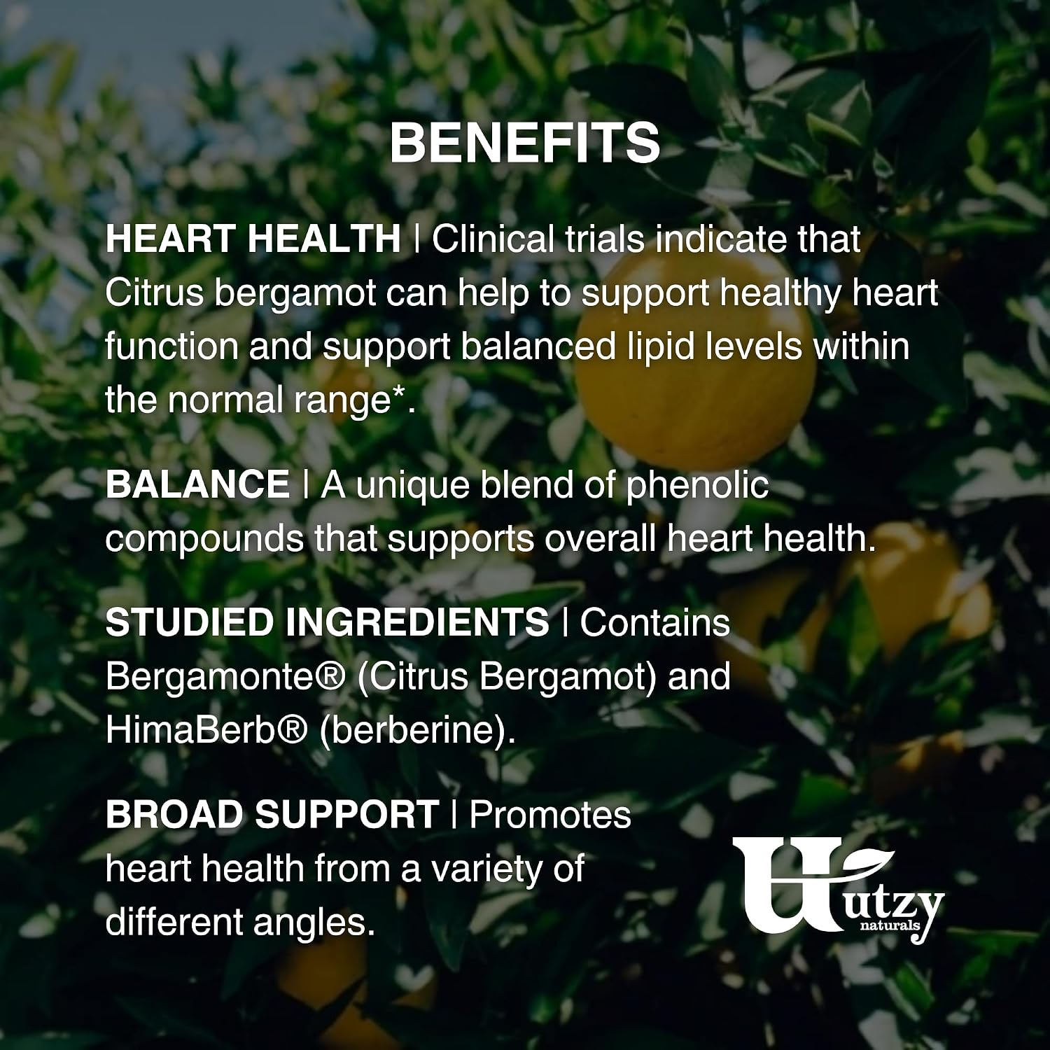 Utzy Naturals Berbercol - Citrus Bergamot & Berberine Supplement, 60 Capsules - görsel 5