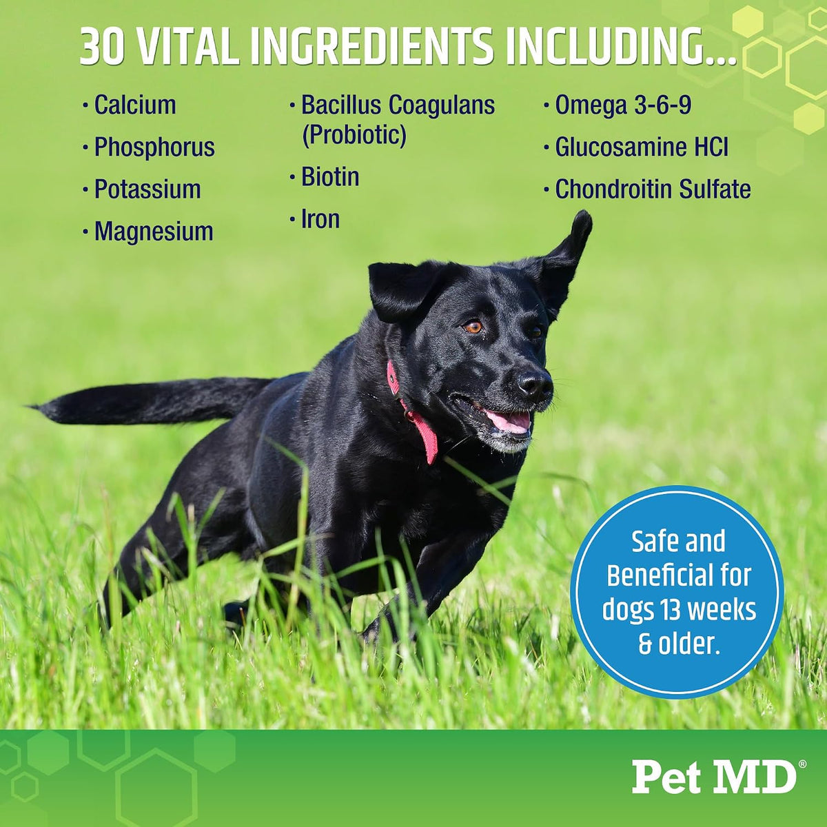 Pet MD 5in1 Dog Multivitamin - 30 Essential Vitamins & Nutrients for Skin & Coat, Hip & Joint, Digestion - Glucosamine, Omega-3-6-9, Probiotics (60 Soft Chews) - görsel 4