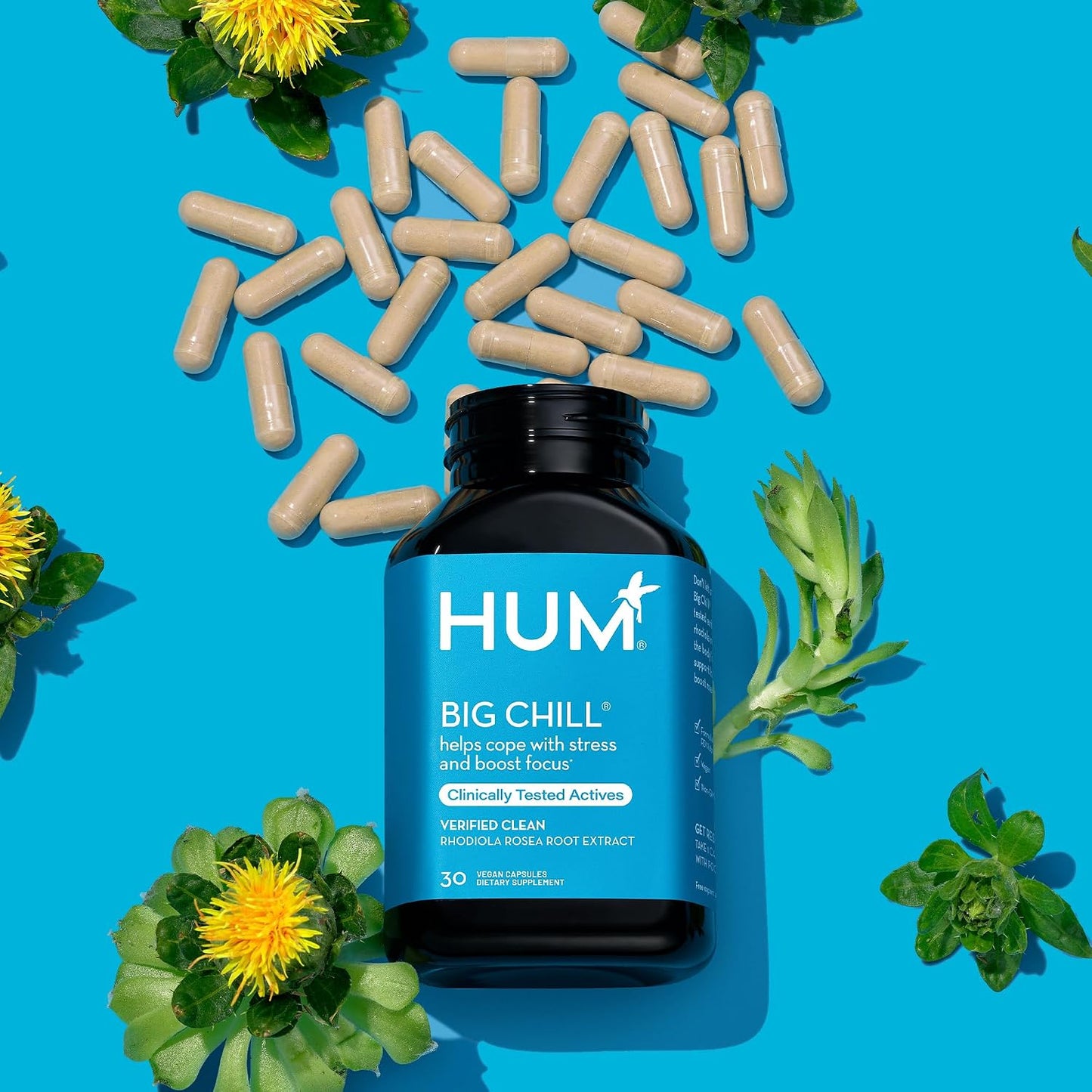 HUM Big Chill Rhodiola Rosea Food Supplement – Adaptogenic Herbal Calm & Focus, 30 Vegan Capsules - görsel 6