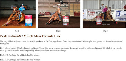 Peak PerformX Multivitamin for Horses with Tribulus, 1420g Powder