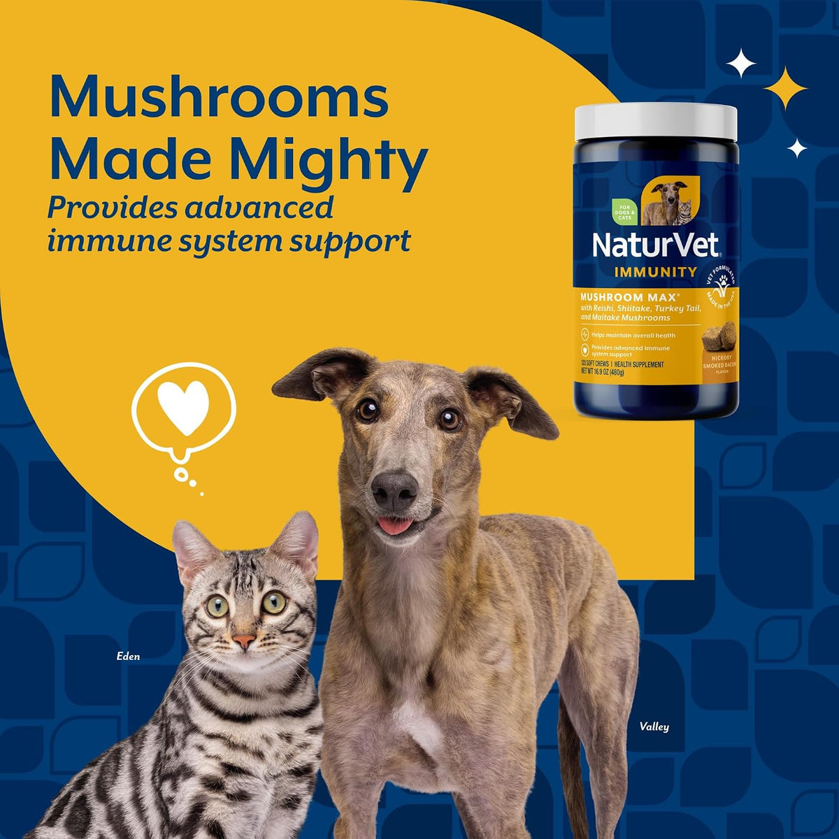 NaturVet Mushroom Max Advanced Immune Support Dog Supplement, 120 Chewable Tablets - görsel 3