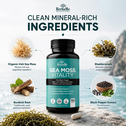 Organic Sea Moss Supplement with Bladderwrack & Burdock Root – Irish Moss with Black Pepper Extract, Daily Mineral Support for Energy & Wellness, 150 Capsules
