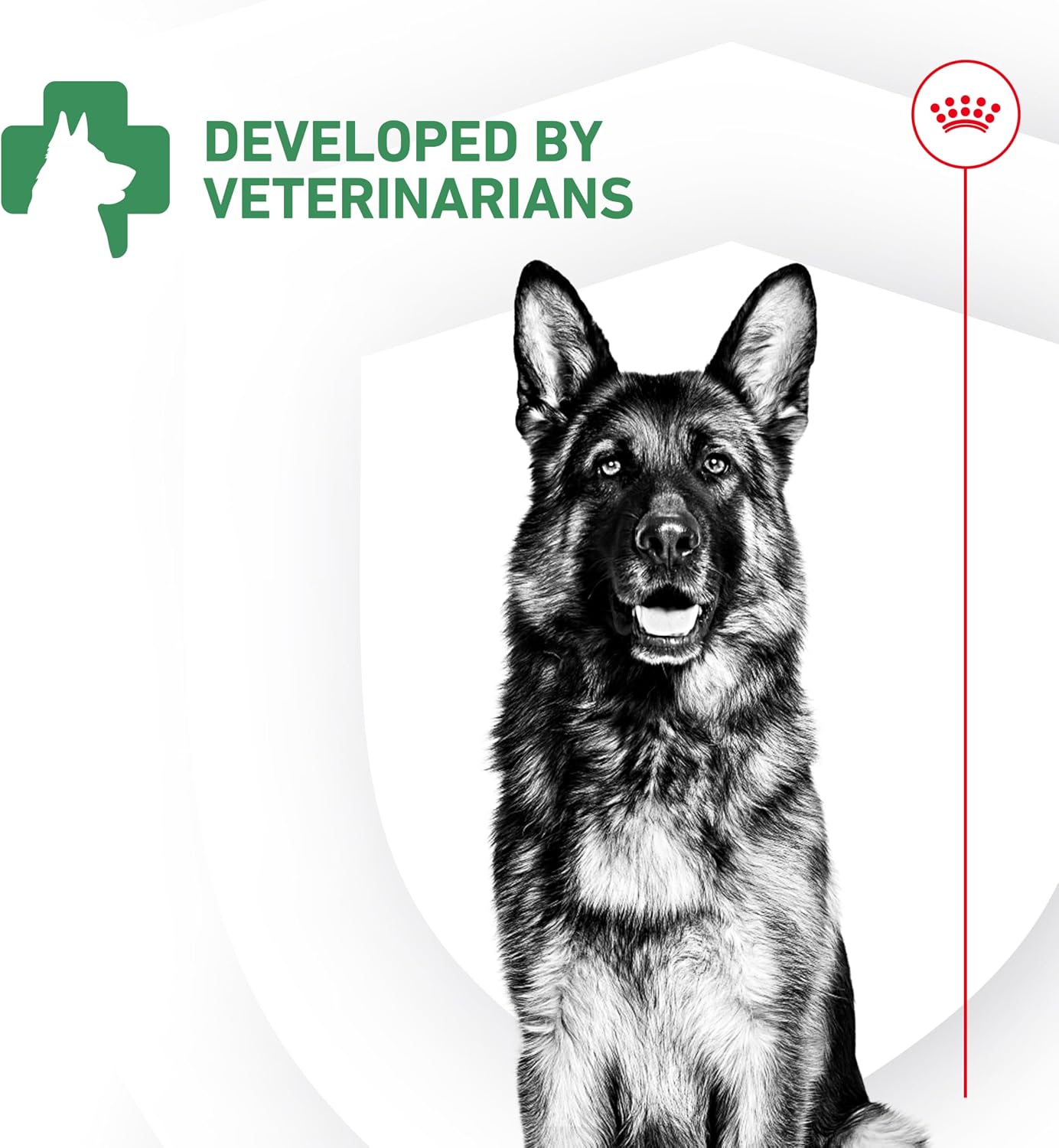 Royal Canin Probiotics for Dogs Digestive and Immune Health Powder Supplement for Dogs of All Ages, 7 Count - görsel 9