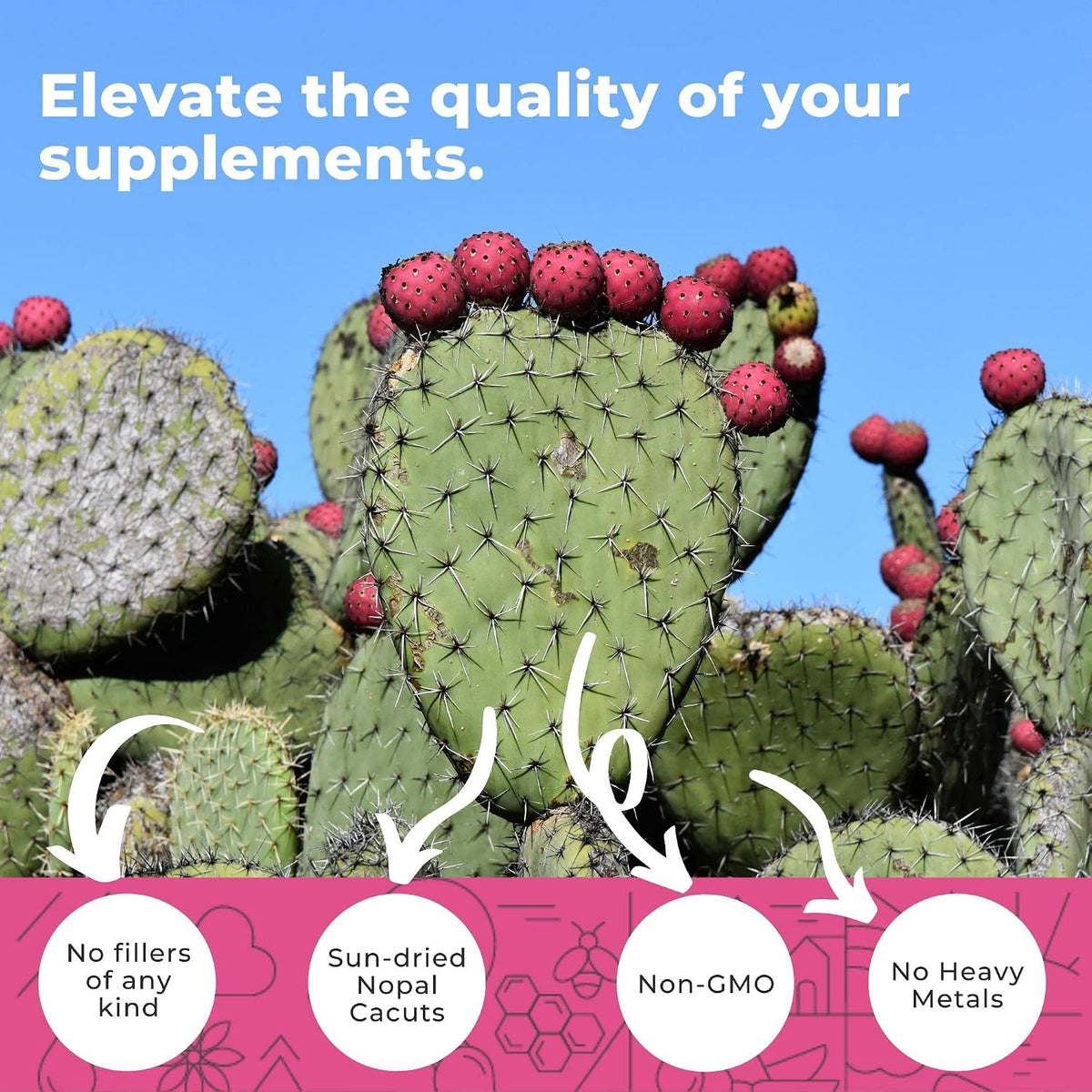 Nopal Cactus Capsules 1500mg – Organic Sun-Dried Prickly Pear Cactus Powder & Black Pepper Extract for Absorption – Natural Prickly Pear Super Supplement, Fibre, Vitamins and Minerals, 240 Capsules - görsel 3