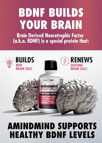 HEALTH DIRECT - AminoMind - Nootropic Collagen Supplement for Brain Health and BDNF - Pro-Hyp & Hyp-Gly Dipeptides, Coffeeberry Antioxidants - Blackberry - 414 ml (28 Servings)