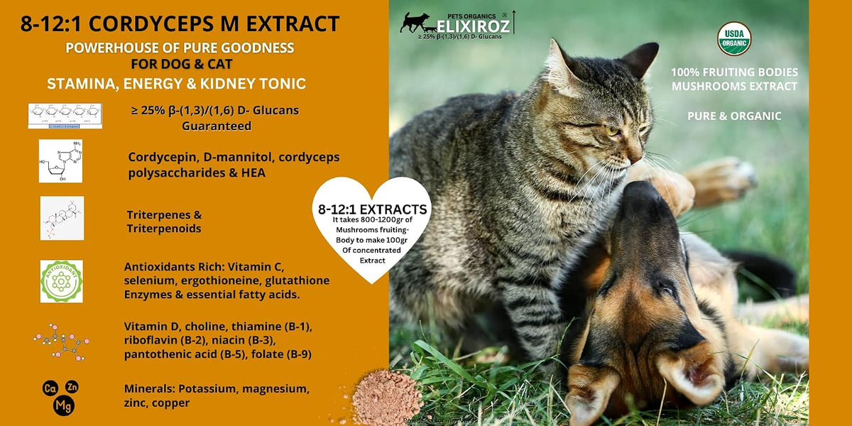 Cordyceps Mushroom Extract for Dogs & Cats – 25%+ Beta Glucans – Fruiting Body (8:1–12:1 Concentrated) – Energy, Stamina & Vitality Support – No Fillers – 250 Servings - görsel 5