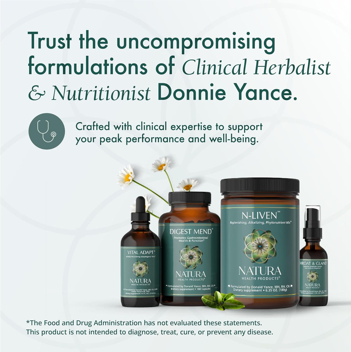 Natura Health Products Lung & Bronchial Tonic - görsel 8