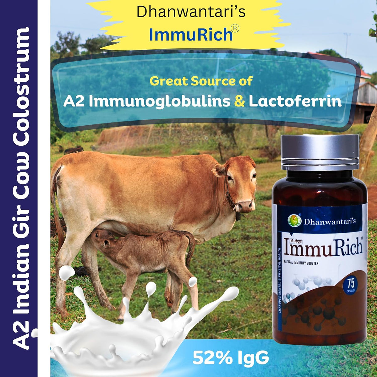 Natural Immunity Booster - 120 Capsules | By Dhanwantari's - görsel 2