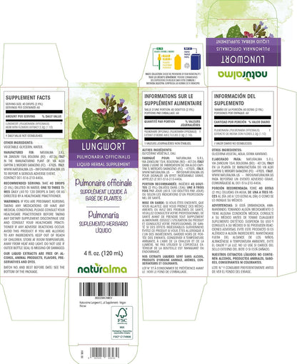 Naturalma Lungwort (Pulmonaria officinalis) Herb with Flowers Alcohol-Free Glycerite - 118 ml Liquid Extract in Drops - Herbal Supplement - Vegan