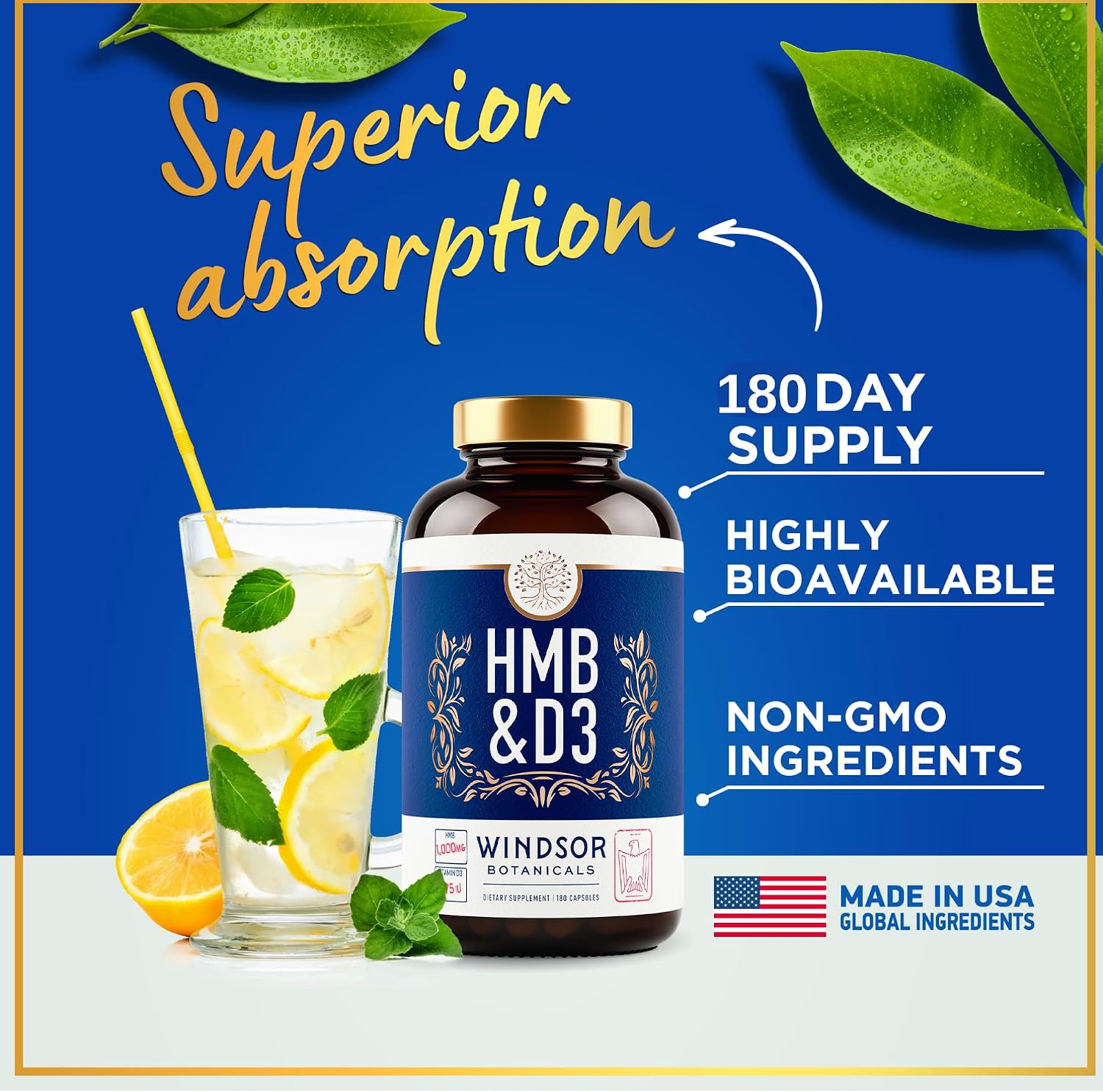 WINDSOR BOTANICALS HMB and Vitamin D3 Supplement – Muscle Growth & Recovery – 360 Capsules - görsel 3