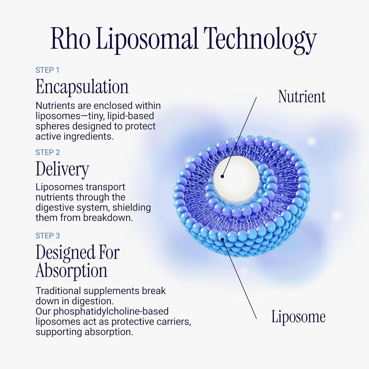 Rho Nutrition Liposomal Vitamin C – Ultra High Absorption Liquid Vitamin C Supplement - görsel 8