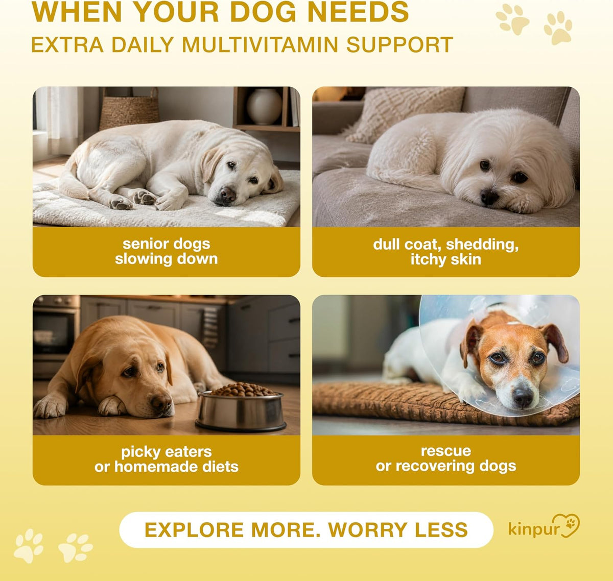 20-in-1 Dog Multivitamin Chews – Immunity, Joint, Digestive & Coat Support – 180 Soft Chews - görsel 2