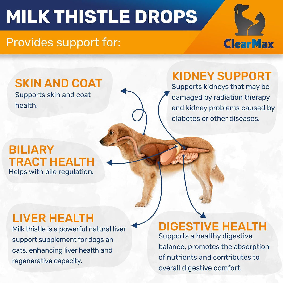 Milk Thistle for Dogs – Liver & Kidney Support for Large & Small Pets – Milk Thistle for Cats to Care for Digestion – Vet-Approved Liquid Formula with Salmon Flavour – GMO Free – 60 ml Bottle - görsel 4