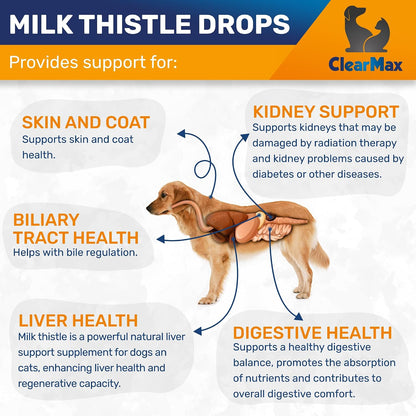 Milk Thistle for Dogs – Liver & Kidney Support for Large & Small Pets – Milk Thistle for Cats to Care for Digestion – Vet-Approved Liquid Formula with Salmon Flavour – GMO Free – 60 ml Bottle