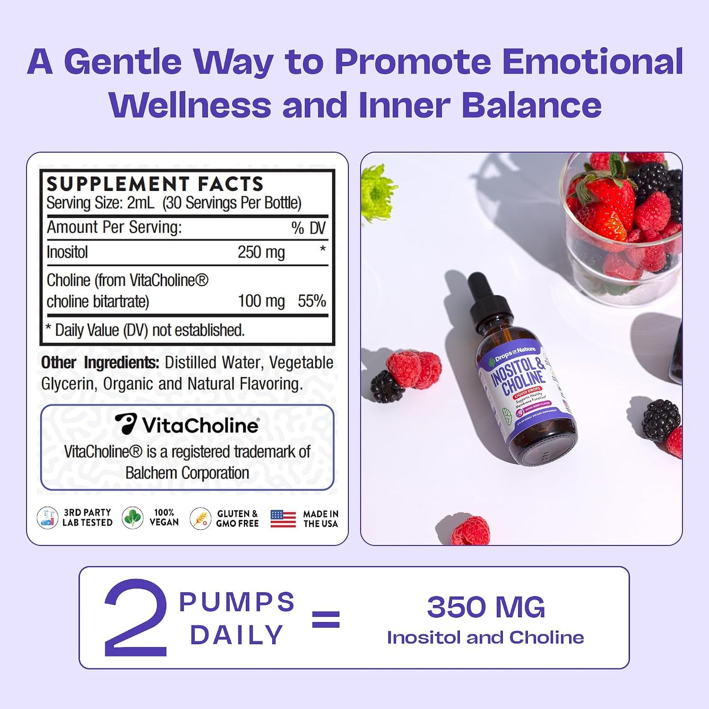 Inositol & Choline Liquid Drops – Vegan, Non-GMO, Easy to Take – Enhanced Absorption Inositol Supplement – Pregnancy Support – Supports Cellular Health & Overall Wellness (Mixed Berry, 60 ml) - görsel 5