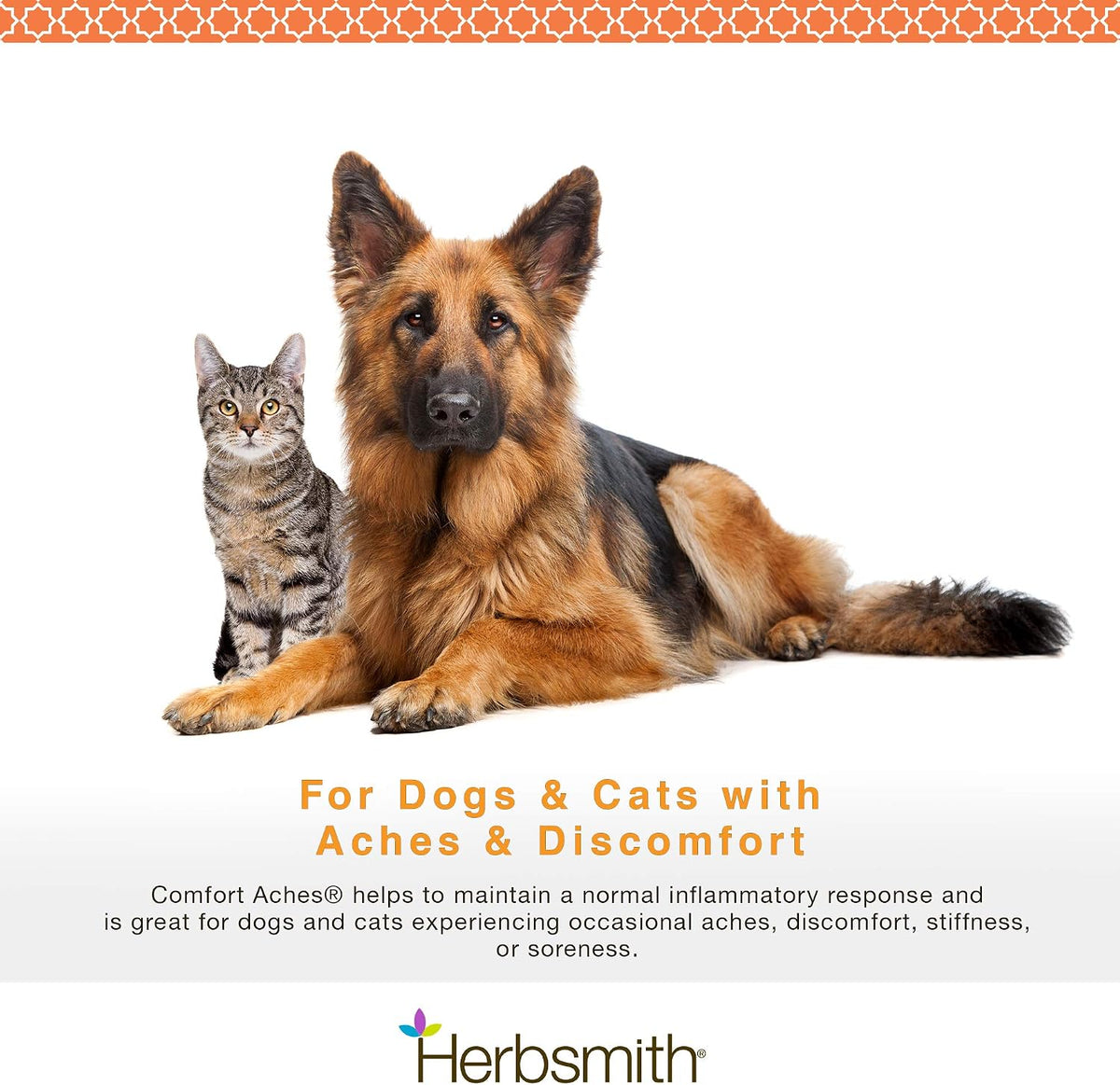 Herbsmith Comfort Aches – Herbal Pain Relief for Dogs and Cats – 150g Powder - görsel 5