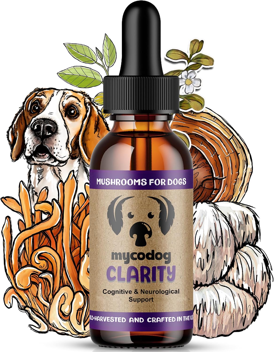 Clarity - Cognitive Support Mushroom Supplement for Dogs - Brain Health, Memory and Focus Support with Adaptogens for Ageing Dogs - görsel 1