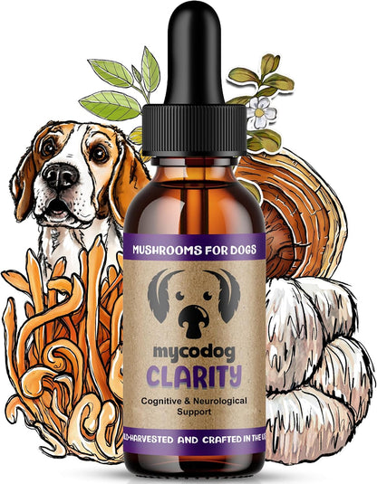 Clarity - Cognitive Support Mushroom Supplement for Dogs - Brain Health, Memory and Focus Support with Adaptogens for Ageing Dogs