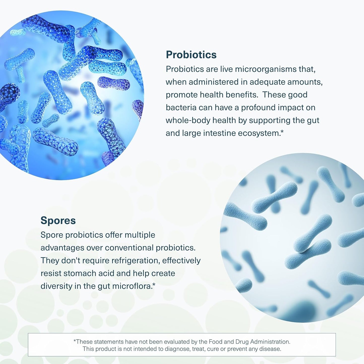 Youtheory Spore Probiotic - 6 Billion CFU with Prebiotics - 60 Vegetarian Capsules - görsel 5