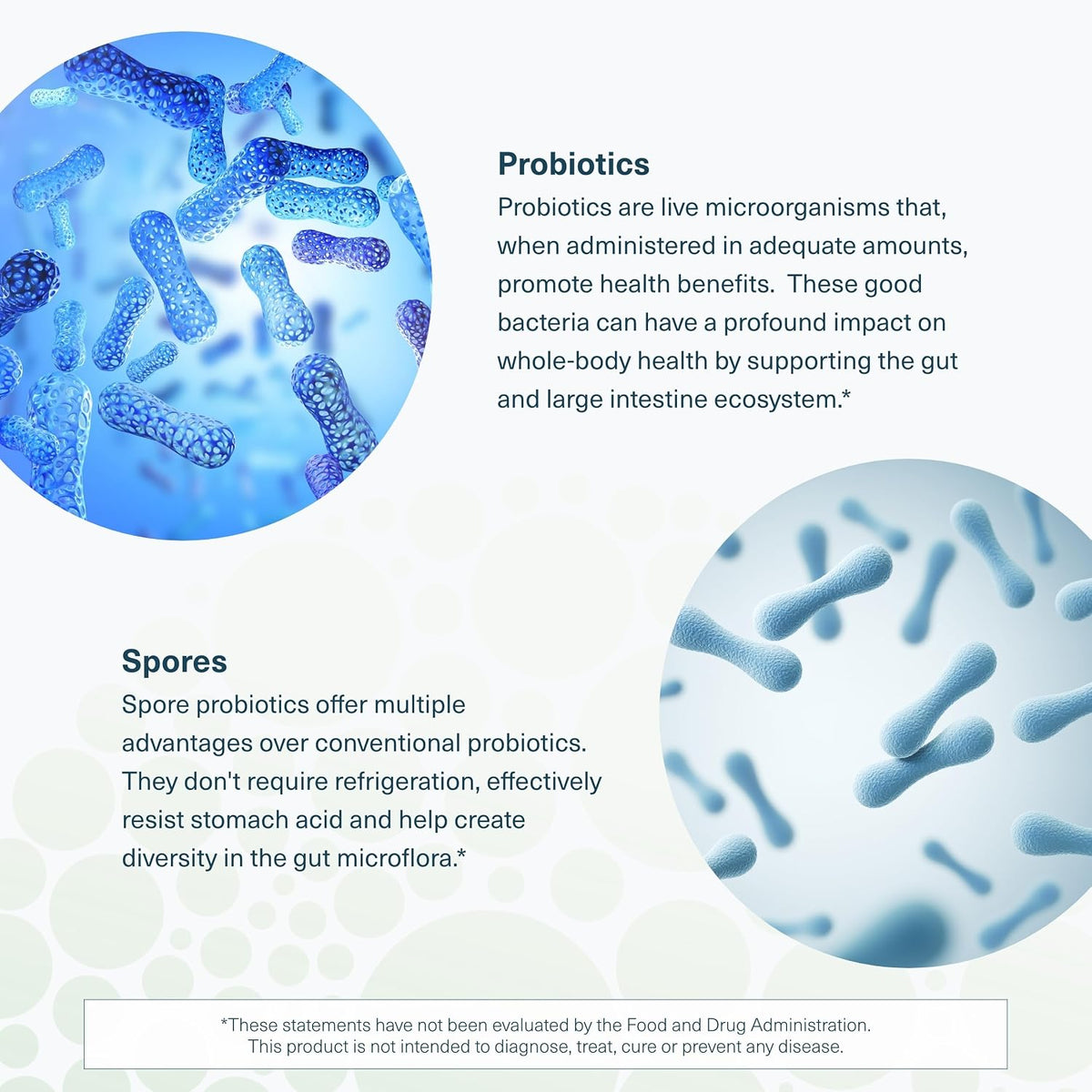Youtheory Spore Probiotic - 6 Billion CFU with Prebiotics - 60 Vegetarian Capsules - görsel 5