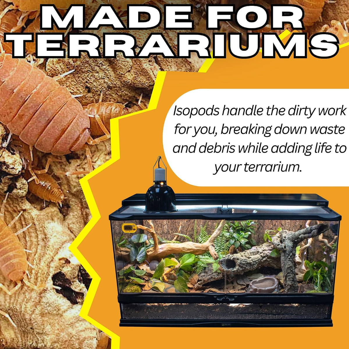 Bioactive Combo | 25 Powder Orange Isopods | 8 oz Coco Temperate Springtails | Live Delivery Guaranteed - görsel 7