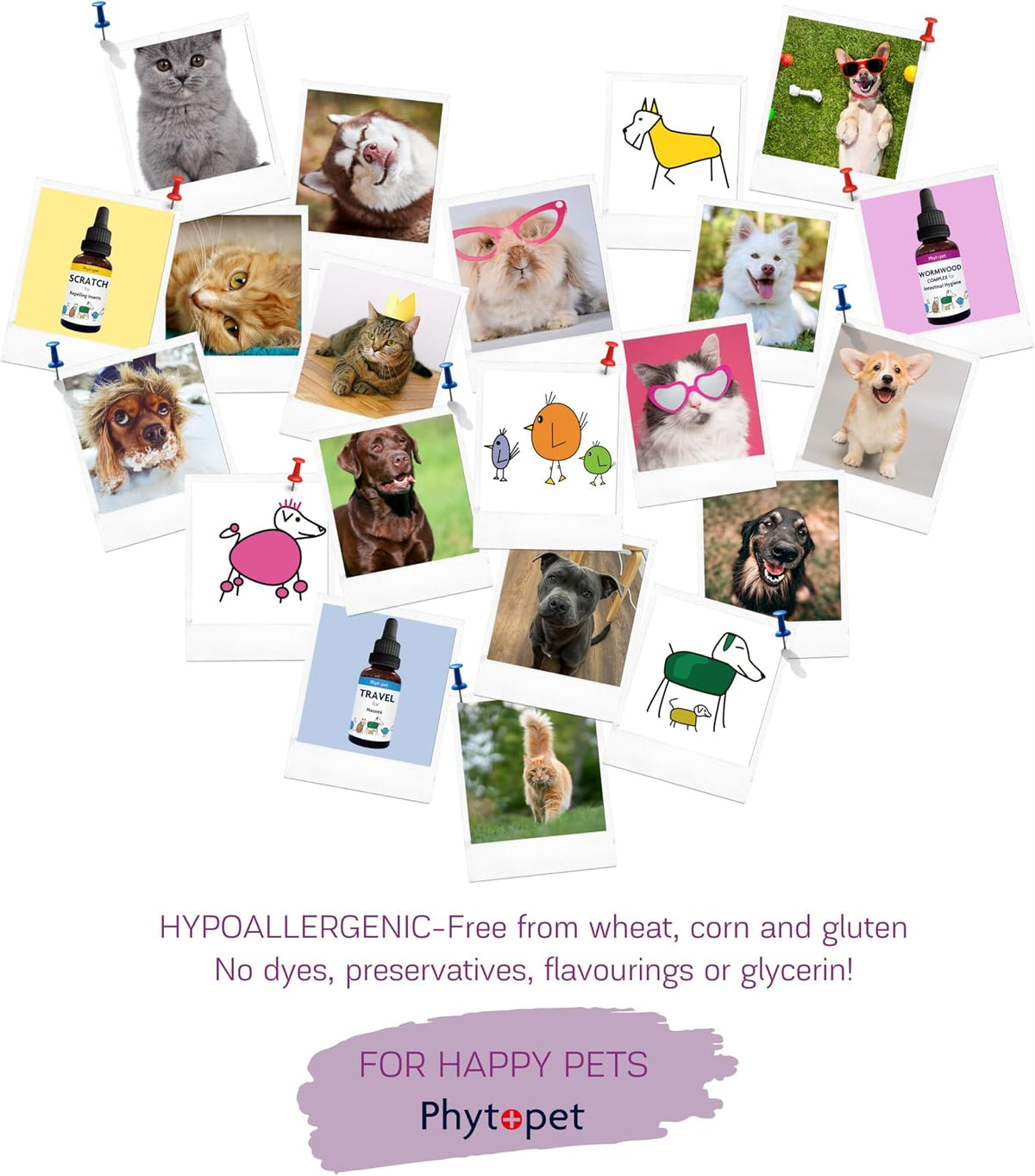 Phytopet Immune Plus - Herbal Immune Support for Pets (30ml) - görsel 5
