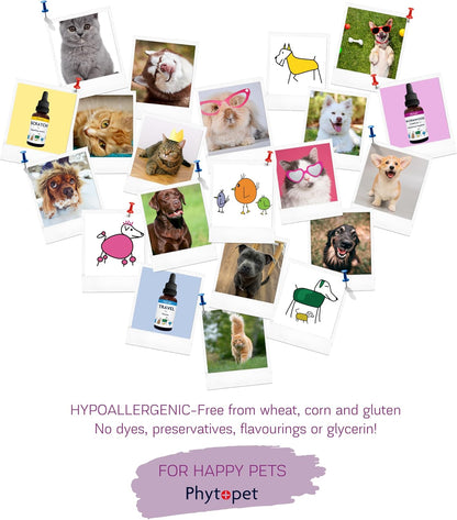 Phytopet Immune Plus - Herbal Immune Support for Pets (30ml)