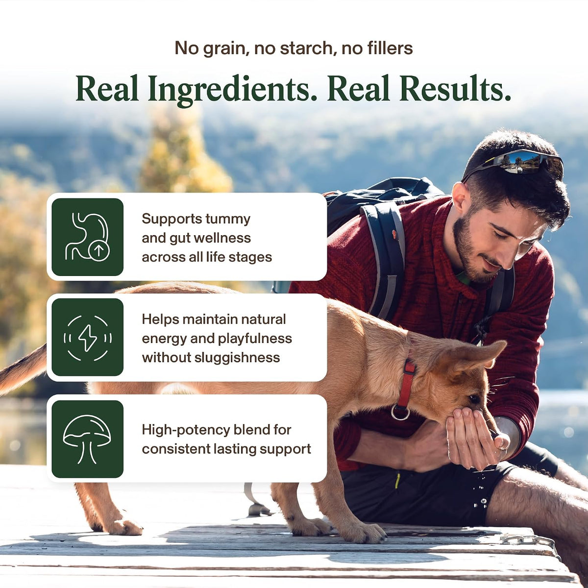 Real Mushroom Immune Pet Chews – Daily Digestive & Immune Support for Dogs and Cats (60 Chews) - görsel 4