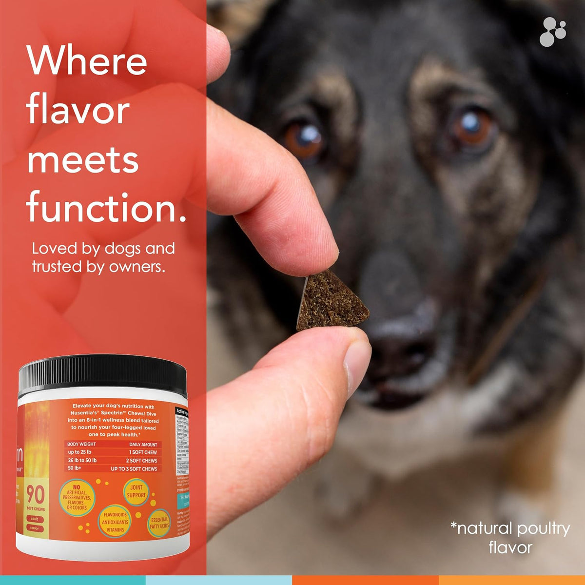 Spectrin Wellness Chews - 8-in-1 Dog Multivitamin with Glucosamine, Chondroitin & Omega-3 (90 Chews) - görsel 7