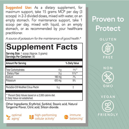 ecoNugenics Brain Health Supplement Bundle – PectaSol Modified Citrus Pectin Fibre + HonoPure Magnolia Bark Extract — Nootropic Pack for Sleep, Stress Relief, Cognitive Function, GABA Support