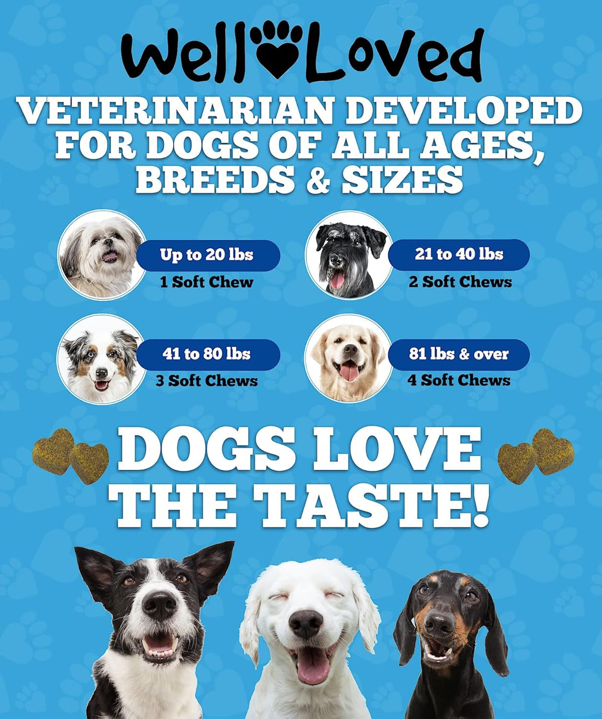 Well Loved Probiotics for Dogs – Soft Chews with Prebiotics and Digestive Enzymes - görsel 6