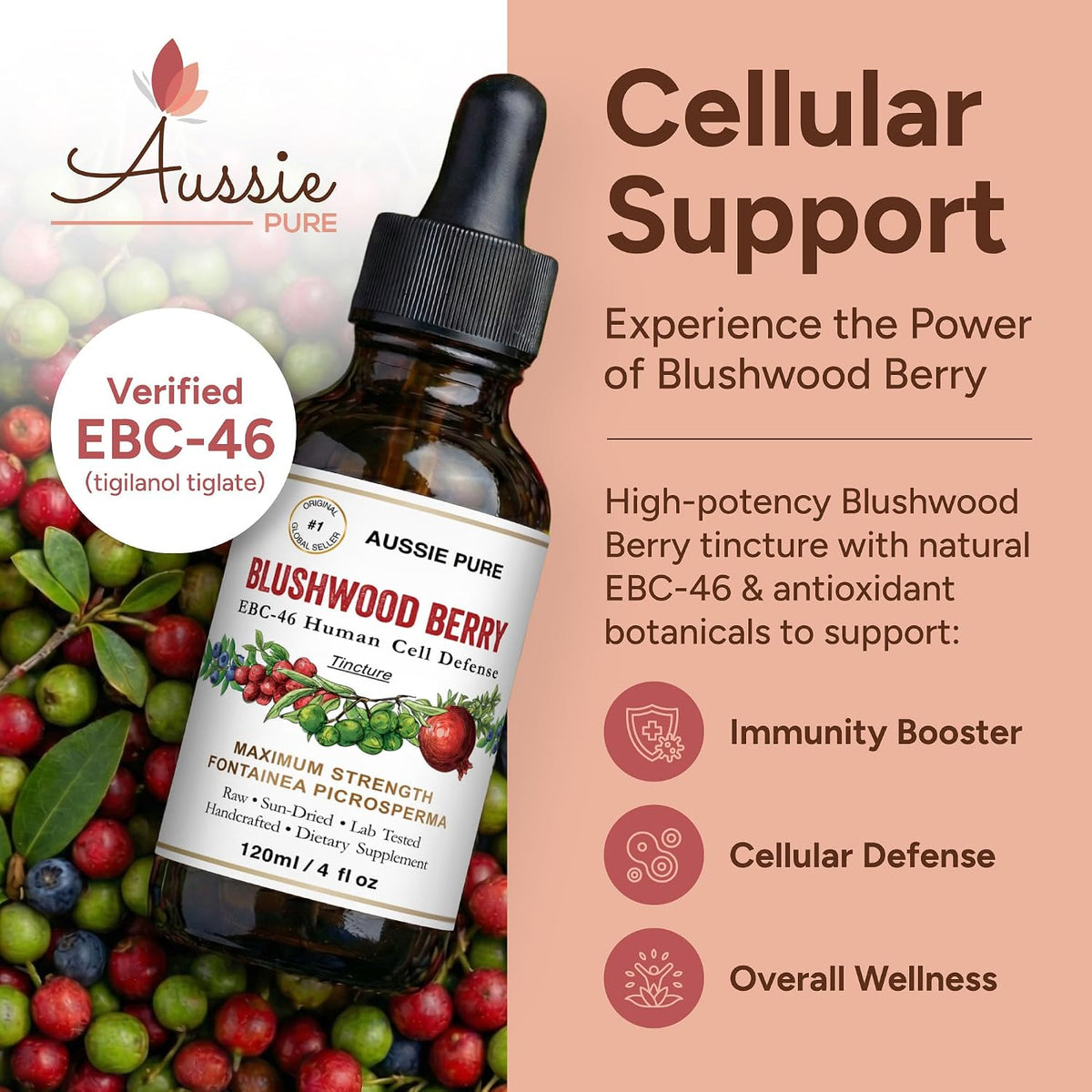 Blushwood Berry EBC-46 Maximum Strength Immune and Cell Support Tincture – Alcohol-Free Glycerine Formula – 6 x 120ml Bottles - görsel 2