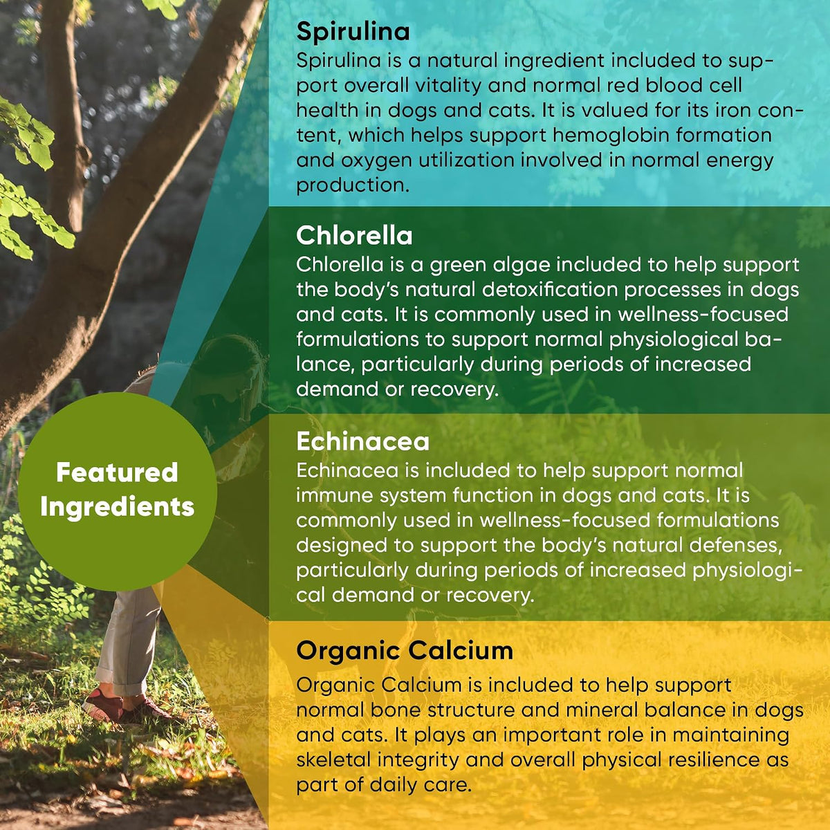 Rooted Owl® Blood Support for Dogs & Cats with Spirulina & Chlorella - görsel 4